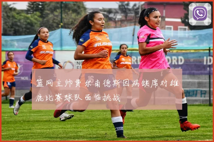 篮网主帅费尔南德斯因病缺席对雄鹿比赛球队面临挑战