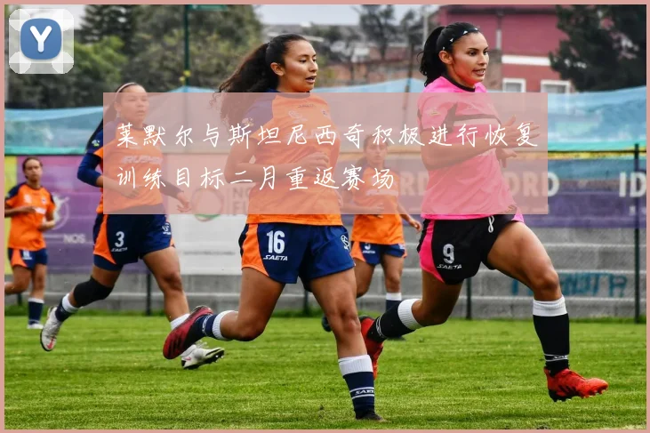 莱默尔与斯坦尼西奇积极进行恢复训练目标二月重返赛场