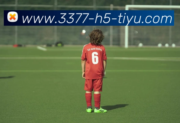 3377体育服务体系